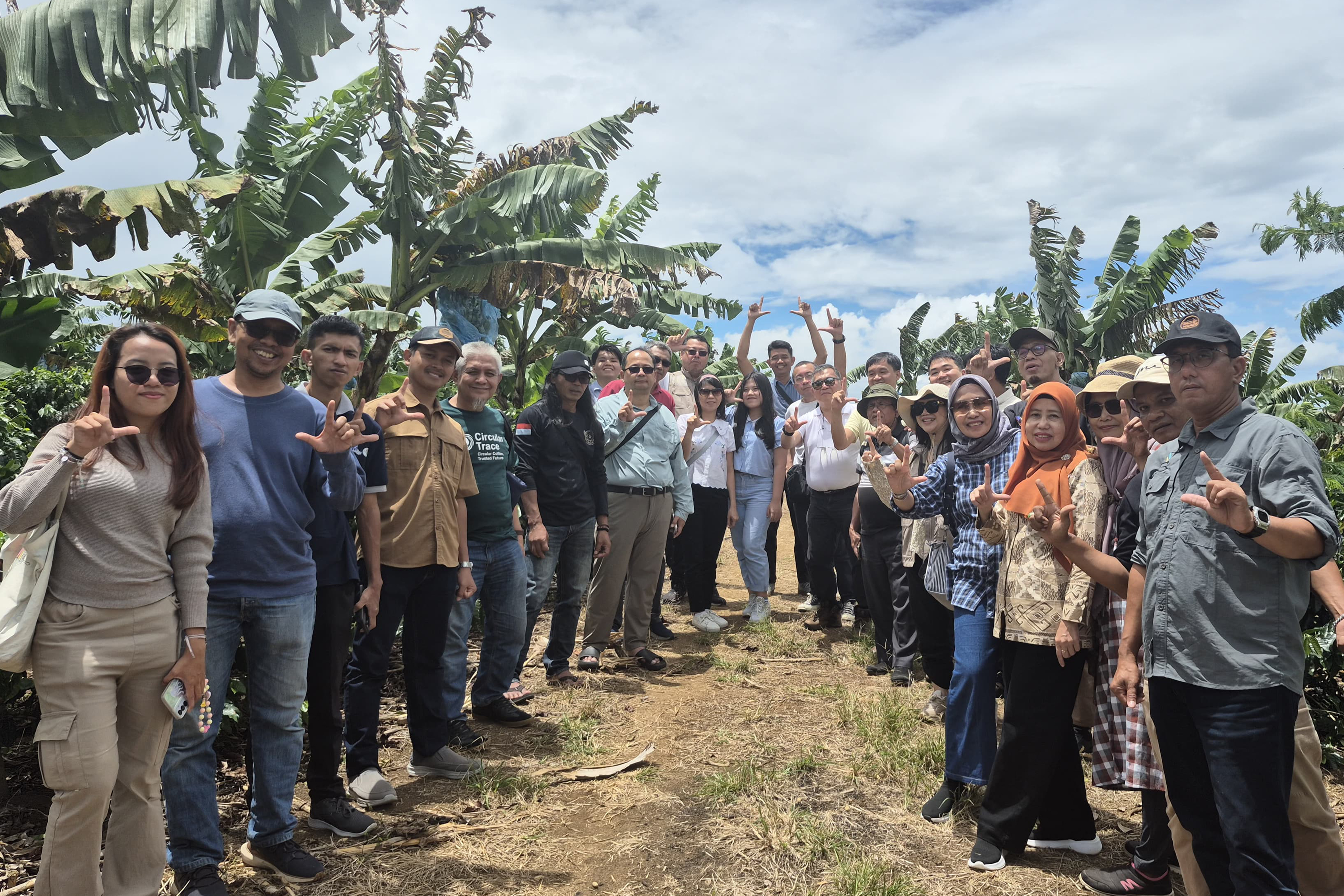 Sikincau Coffee Farm Young Arabica